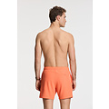 Shiwi Shiwi Heren Zwemshort SCOTT Stretch 6" Effen Oranje