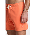 Shiwi Shiwi Heren Zwemshort SCOTT Stretch 6" Effen Oranje
