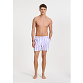 Shiwi Shiwi Men's Swim Short Broad Stripe Purple/White