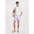 Shiwi Shiwi Men's Swim Short Broad Stripe Purple/White