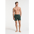 Shiwi Shiwi Heren Zwemshort SCOTT Stretch 6" Effen Groen