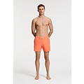 Shiwi Shiwi Men's Swim Short SCOTT Stretch 6" Solid Orange