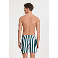 Shiwi Shiwi Heren Zwemshort Broad Stripe Donkergroen/Wit
