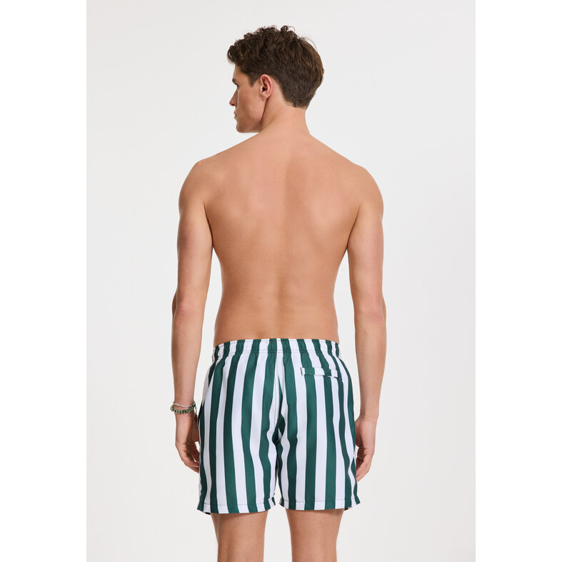 Shiwi Shiwi Heren Zwemshort Broad Stripe Donkergroen/Wit