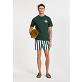 Shiwi Shiwi Men's Swim Short Broad Stripe Dark Green/White