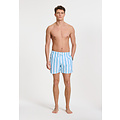 Shiwi Shiwi Men's Swim Short Broad Stripe Light Blue/White