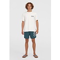 O'Neill O'Neill Men's Swimsuit Cali 16" Teal