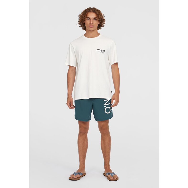 O'Neill O'Neill Heren Zwembroek Cali 16" Teal