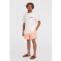 O'Neill O'Neill Men's Swimsuit Cali 16" Light Peach