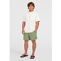 O'Neill O'Neill Men's Swimsuit Vert 16" Green