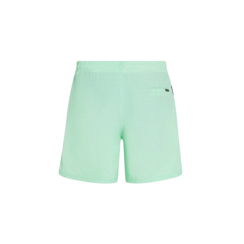 O'Neill O'Neill Men's Swimsuit Vert 16" Mint Green