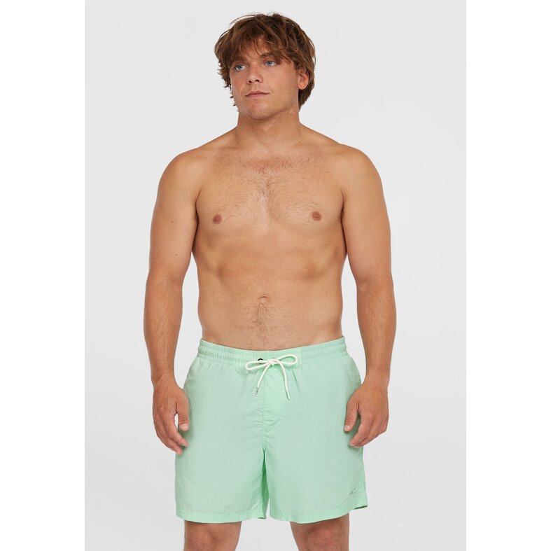 O'Neill O'Neill Men's Swimsuit Vert 16" Mint Green