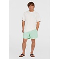 O'Neill O'Neill Men's Swimsuit Vert 16" Mint Green