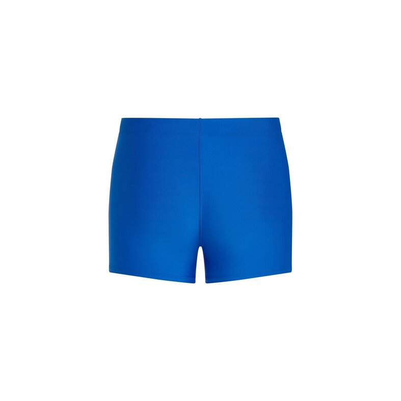 O'Neill O'Neill Men's Swim Boxer Racer Blue