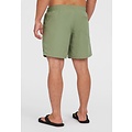 O'Neill O'Neill Men's Swimsuit Vert 16" Green