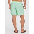 O'Neill O'Neill Men's Swimsuit Vert 16" Mint Green