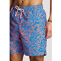 Shiwi Shiwi Heren Zwemshort MIKE 7" Zeester Print Blauw/Oranje