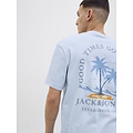 Jack & Jones Jack & Jones Heren T-shirt JJSUMMER Ronde Hals Lichtblauw