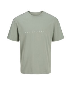 Jack & Jones Plus Size Heren T-shirt JJESTAR Iceberg Groen