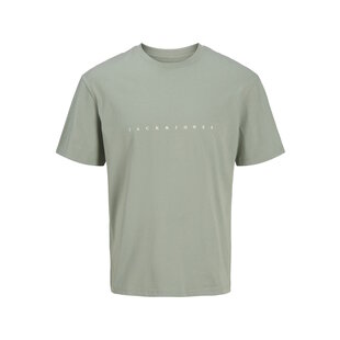 Jack & Jones Plus Size Men's T-shirt JJESTAR Iceberg Green