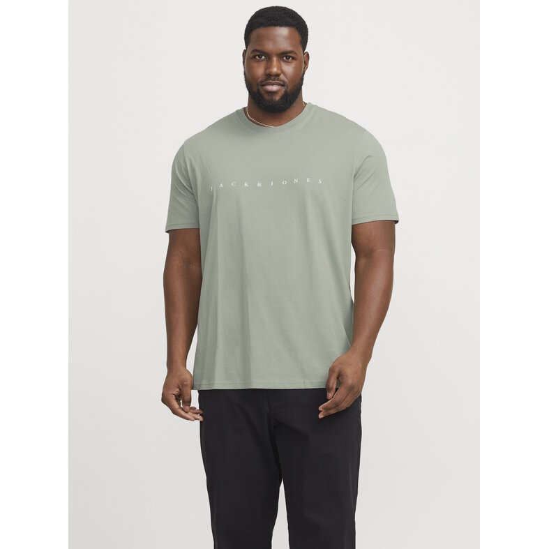 Jack & Jones Jack & Jones Plus Size Heren T-shirt JJESTAR Iceberg Groen