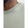 Jack & Jones Jack & Jones Plus Size Heren T-shirt JJESTAR Iceberg Groen