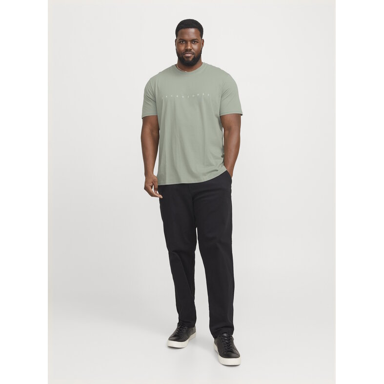 Jack & Jones Jack & Jones Plus Size Heren T-shirt JJESTAR Iceberg Groen
