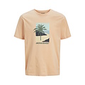 Jack & Jones Jack & Jones Heren T-shirt JJBARBADOS Ronde Hals Oranje