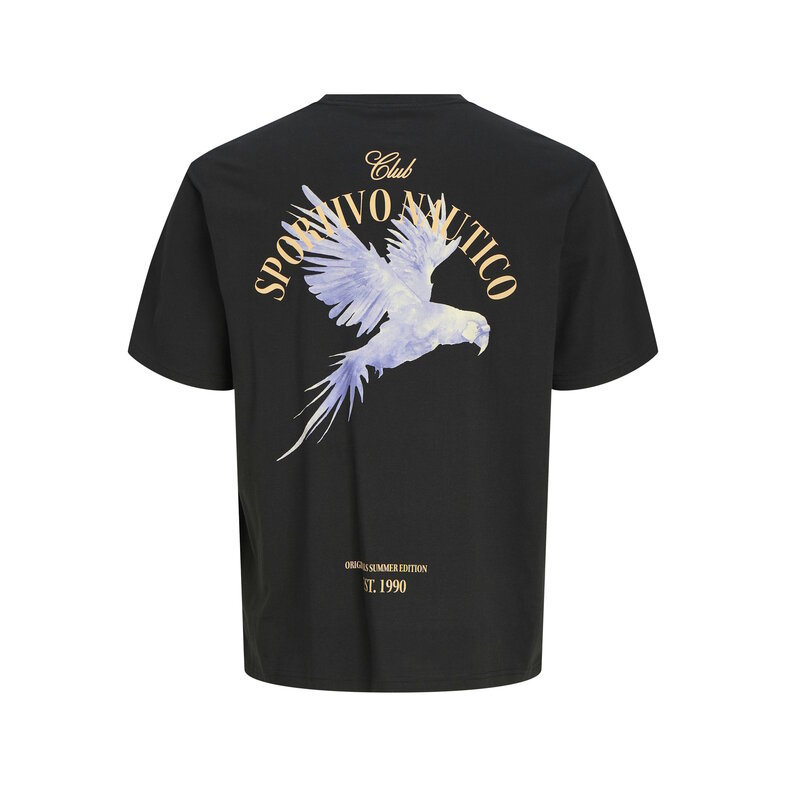 Jack & Jones Jack & Jones Men's T-shirt JORHYDRA Loose Fit Round Neck Black