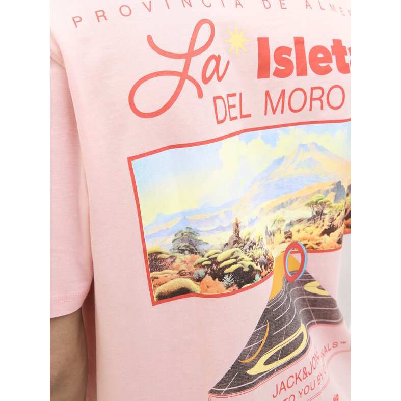 Jack & Jones Jack & Jones Heren T-shirt JORALMERIA Relaxed Fit Ronde Hals Roze