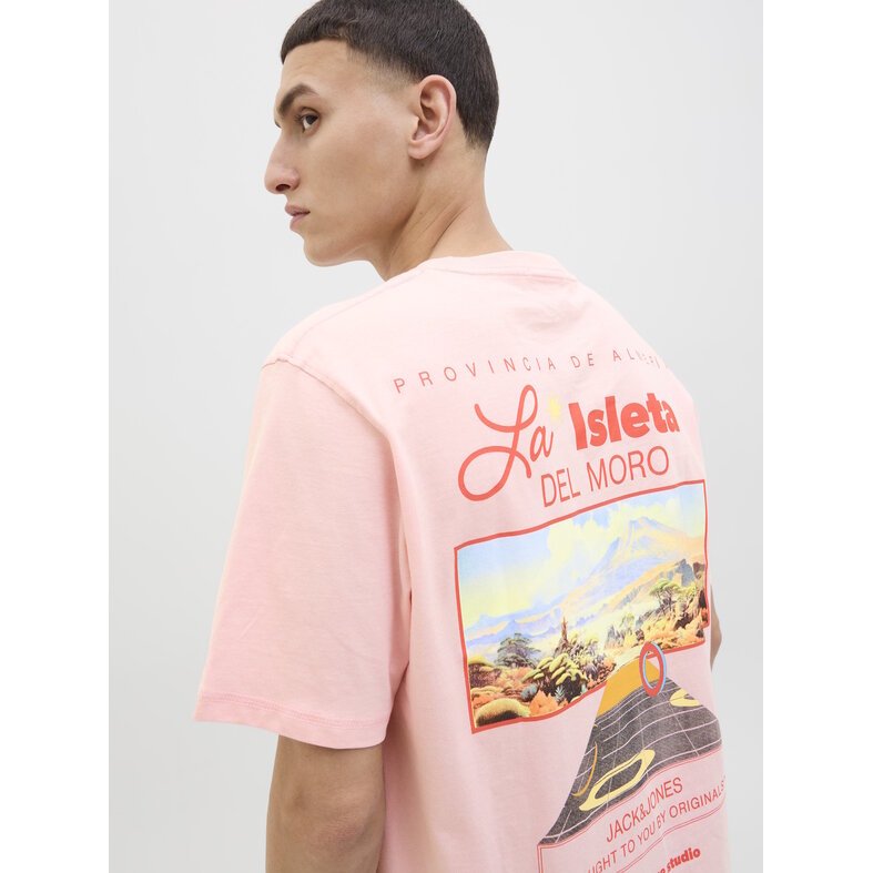 Jack & Jones Jack & Jones Heren T-shirt JORALMERIA Relaxed Fit Ronde Hals Roze