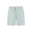 Shiwi Shiwi Men's Swim Short MIKE 7" Solid Light Green