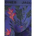 Jack & Jones Jack & Jones Heren Boxershorts Trunks JACKYLE 12-Pack