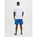 Jack & Jones Jack & Jones Men's Plus Size Swim Short JPSTMAUI JJSWIM Blue