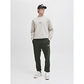 Jack & Jones Jack & Jones Heren Trui JJESOHO Beige