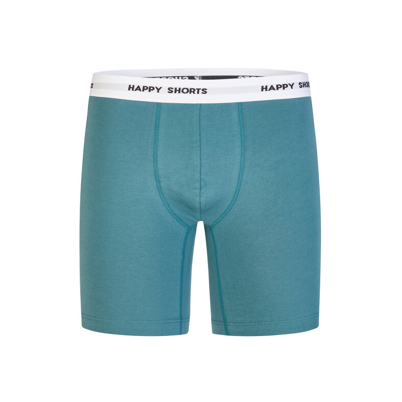 Happy Shorts Happy Shorts Heren Boxershorts Met Lange Pijpen Boxer Briefs Groen/Lichtblauw