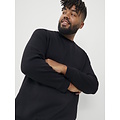 Jack & Jones Jack & Jones Heren Plus Size Trui JJEBRADLEY Zwart