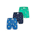 Phil & Co Phil & Co Wide Boxer Shorts Men With Print 3-Pack