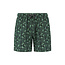 Shiwi Shiwi Men's Swim Short Abstract Jungle Green