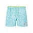 Name It Name It Jongens Zwemshort Kinderen NKMZAGLO Waterprint Blauw