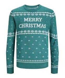 Jack & Jones Kersttrui Heren Gebreid JORHOLLY Groen