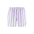 Shiwi Shiwi Men's Swim Short Broad Stripe Purple/White