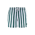 Shiwi Shiwi Men's Swim Short Broad Stripe Dark Green/White