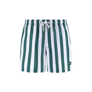 Shiwi Men's Swim Short Broad Stripe Dark Green/White