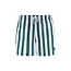 Shiwi Shiwi Heren Zwemshort Broad Stripe Donkergroen/Wit