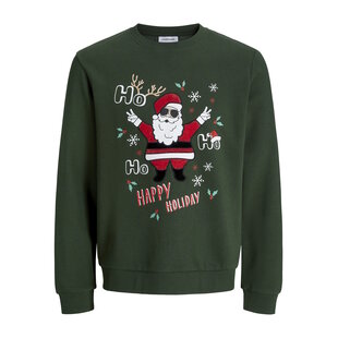 Jack & Jones Heren Kersttrui JJCHRISTMAS Donkergroen
