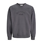 Jack & Jones Jack & Jones Men's Sweater JORBLEECKER Dark Gray