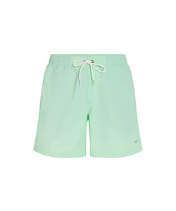 O'Neill Men's Swimsuit Vert 16" Mint Green