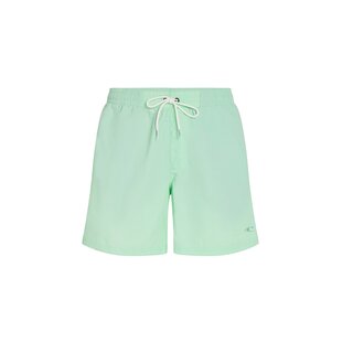 O'Neill Men's Swimsuit Vert 16" Mint Green