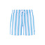 Shiwi Shiwi Men's Swim Short Broad Stripe Light Blue/White